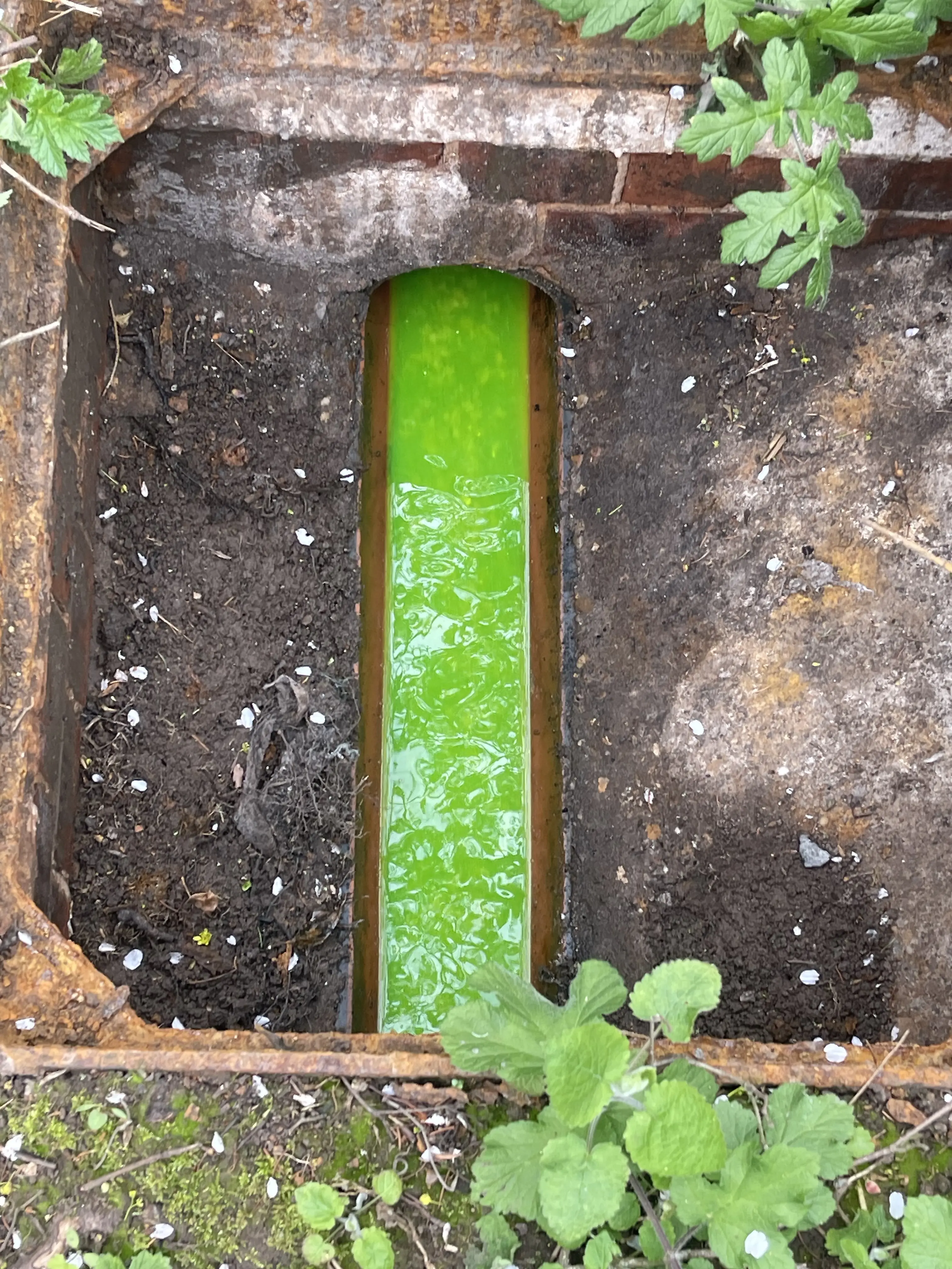 die test in drain